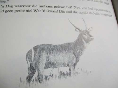 VERHALE VAN DIE KRALE - Legendes van Zoeloeland, Botswana en die Laeveld