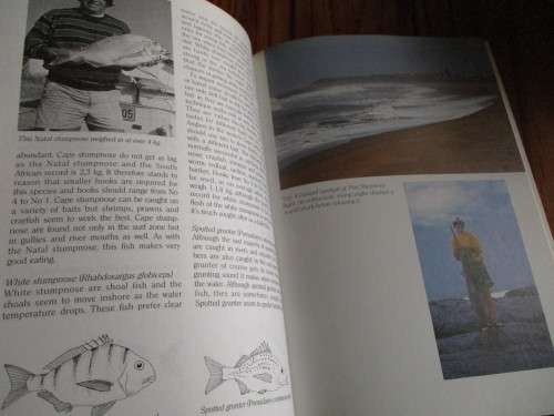 Rock and Surf Fishing - Charles Stewart