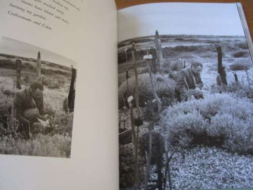 DEREK JARMAN'S GARDEN