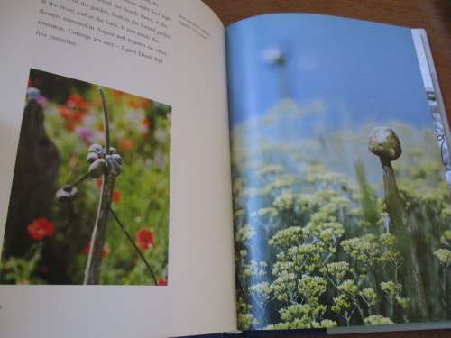DEREK JARMAN'S GARDEN