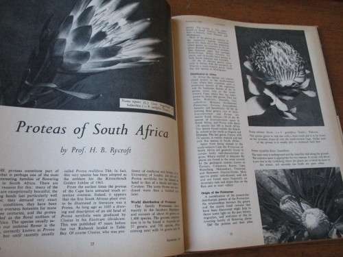 LANTERN Vol. XIII No.1 September 1963