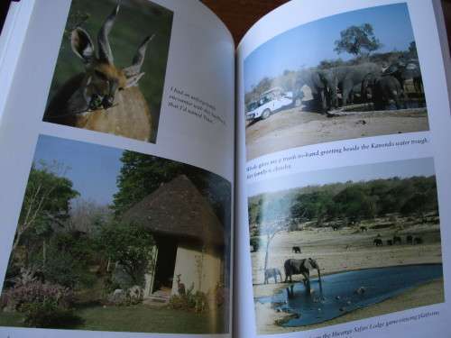 The Elephants and I  Sharon Pincott