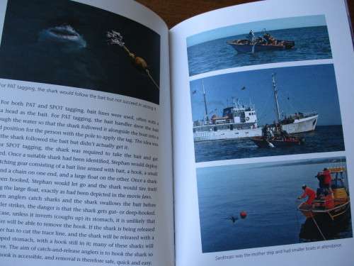 NICOLE The true story of a Great White Shark's journey into history. Richard Peirce