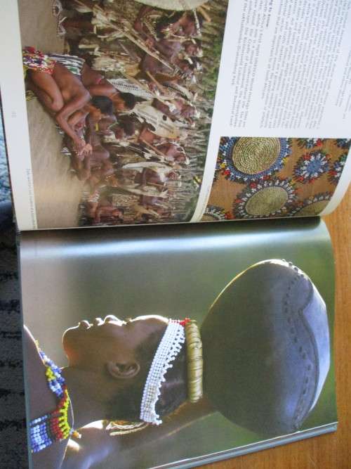 SOUTH AFRICA  The Big Picture  Ingrid van den Berg Joanne Pohl