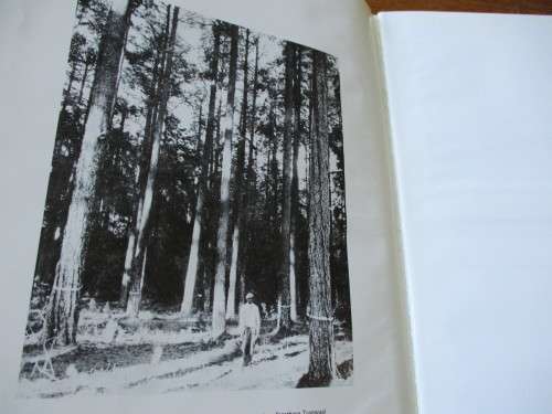 CHARACTERISTICS AND USES OF TREES AND SHRUBS Forest Department. R.J. Poynton