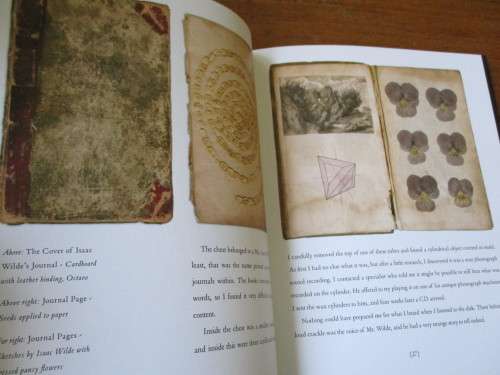 THE MYSTERY OF THE FOOL & THE VANISHER  David and Ruth Ellwand