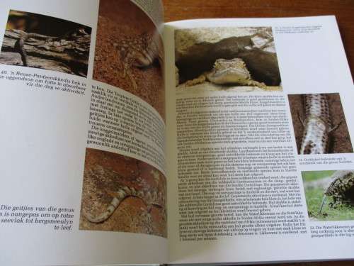 REPTIELE VAN SUIDER-AFRIKA  Rod Patterson