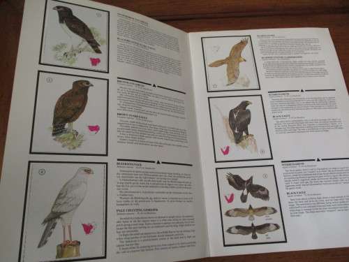 Weet-Bix. Birds of Prey Album / Roofvoëlalbum