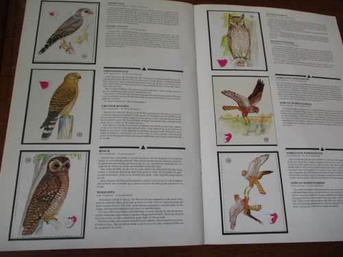Weet-Bix. Birds of Prey Album / Roofvoëlalbum