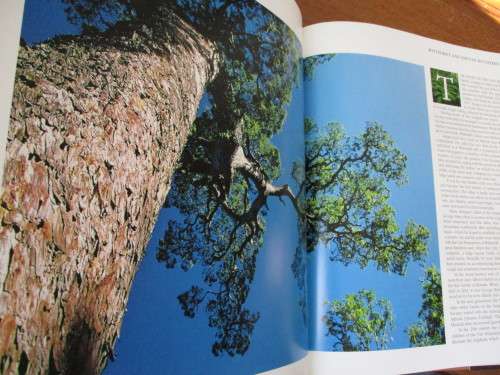 Plettenberg Bay and THE PARADISE COAST. Patricia Storrar