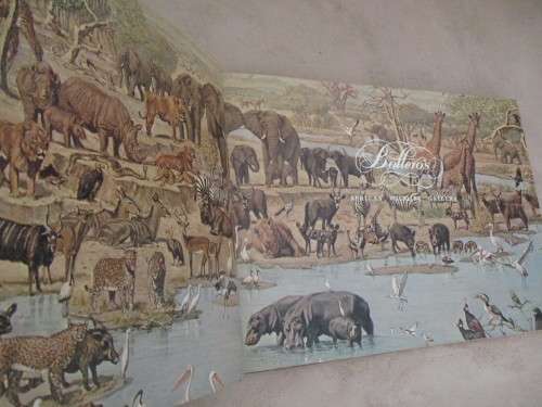 BOTTERO'S AFRICAN WILDLIFE GALLERY