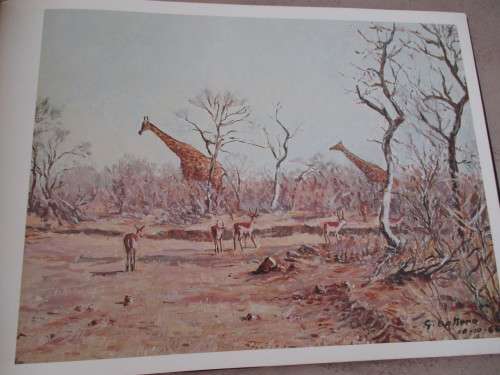 BOTTERO'S AFRICAN WILDLIFE GALLERY