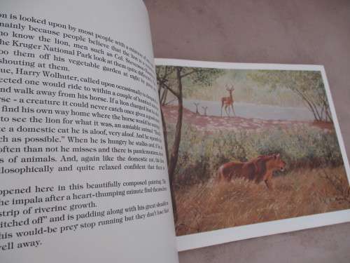 BOTTERO'S AFRICAN WILDLIFE GALLERY
