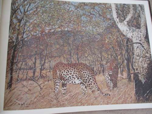 BOTTERO'S AFRICAN WILDLIFE GALLERY
