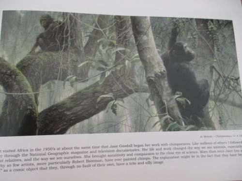 ROBERT BATEMAN at Everard Read - DIVERSITIES. Inscribed by Bateman
