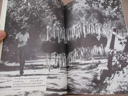 BLOOD RIVER. The passionate saga of SA's AFRIKANERS and of life in their Embattled Land