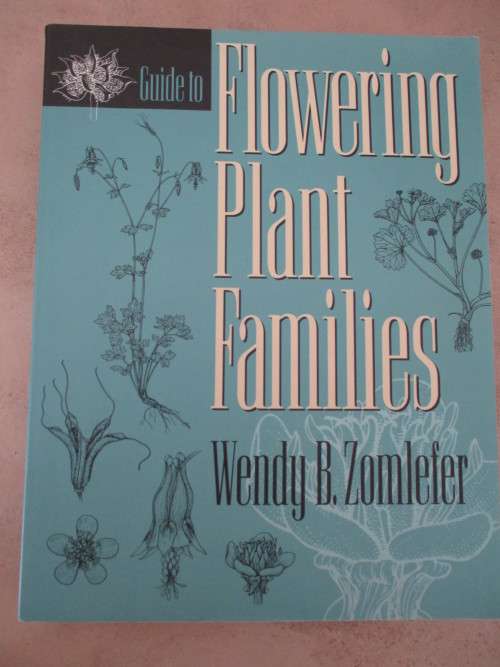 FLOWERING PLANT FAMILIES