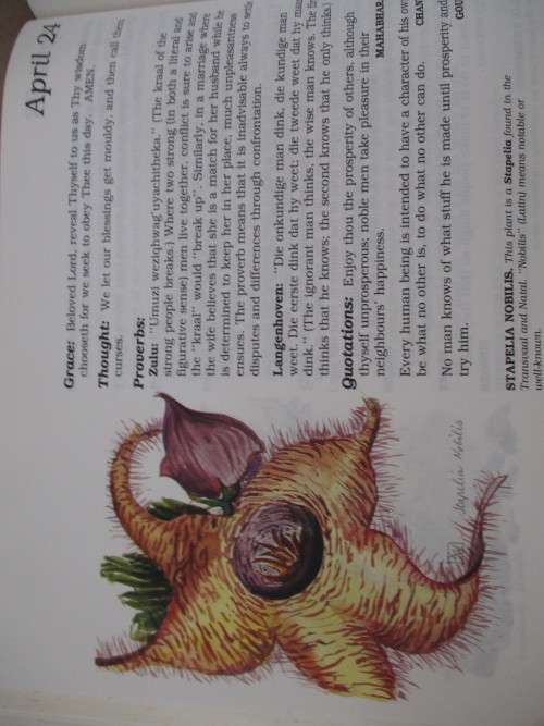 The Evergreen South African Diary - Susan Paramore Weyers