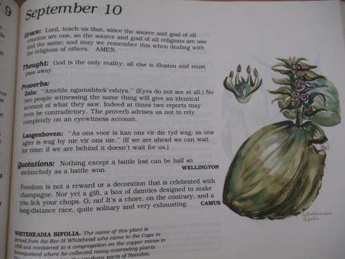 The Evergreen South African Diary - Susan Paramore Weyers