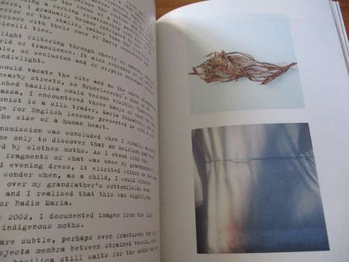 LIEN BOTHA