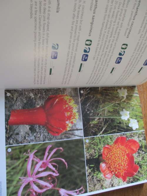 SIGNED. Field Guide to the Flora of GROOTBOS NATURE RESERVE and the WALKER BAY REGION