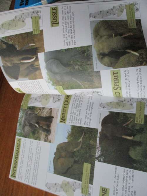 KRUGER LEGENDS - Great Tuskers of the Kruger National Park