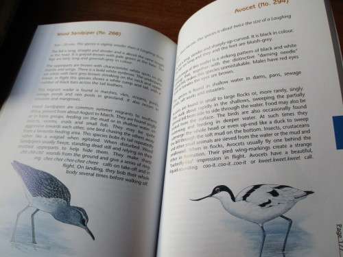 SIGNED. BIRDING with SAPPI and GEOFF LOCKWOOD