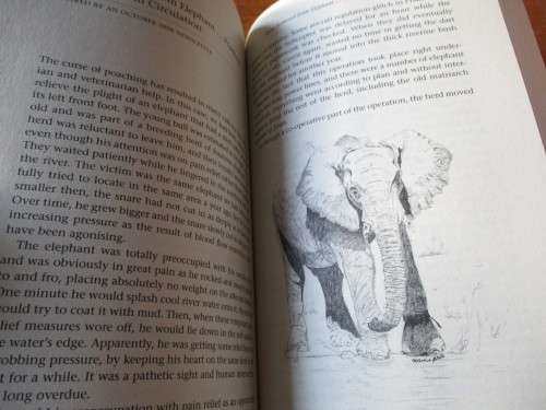 Man-eaters Mambas and Marula Madness A Game Ranger's life in the Lowveld Mario Cesare