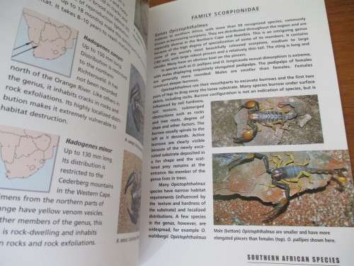 SCORPIONS OF SOUTHERN AFRICA  Jonathan Leeming