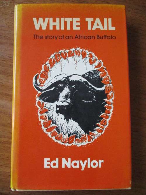 WHITE TAIL  The story of an African Buffalo Ed Naylor