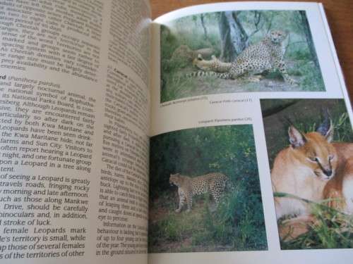 PILANSBERG Jewel of Bophuthatswana Michael R Brett