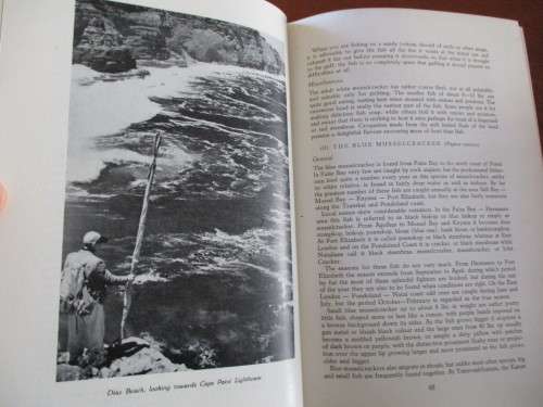 STRIKE! A Handbook of Fishing in South African Coastal Waters. Schoeman