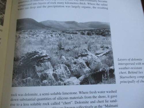 THE MAGALIESBERG. By Vincent Carruthers