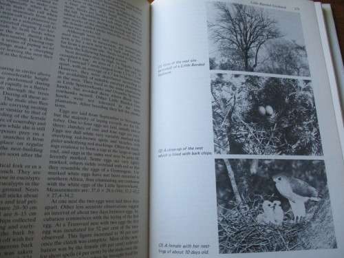 Peter Steyn. BIRDS OF PREY OF SOUTHERN AFRICA. Their Identification and Life Histories