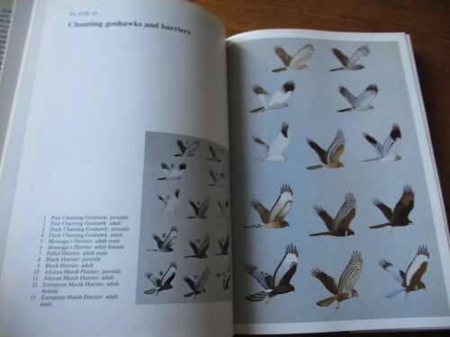 Peter Steyn. BIRDS OF PREY OF SOUTHERN AFRICA. Their Identification and Life Histories