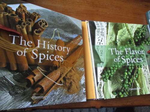 SPICES  The History of Spices  and The Flavour of Spices