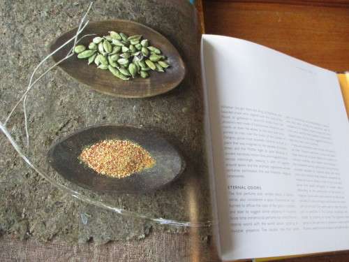 SPICES  The History of Spices  and The Flavour of Spices