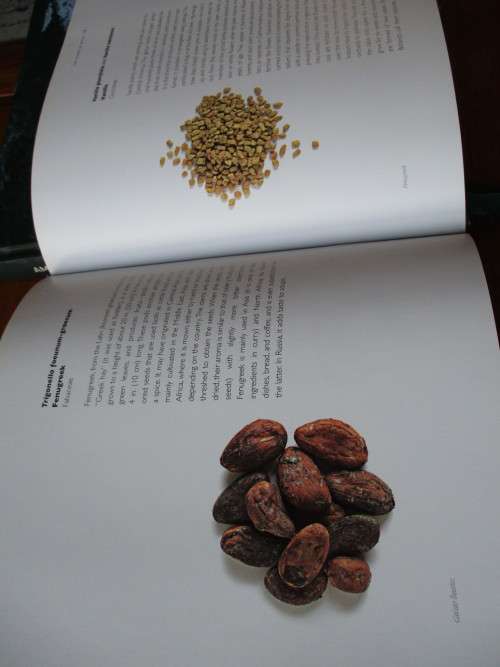 SPICES  The History of Spices  and The Flavour of Spices