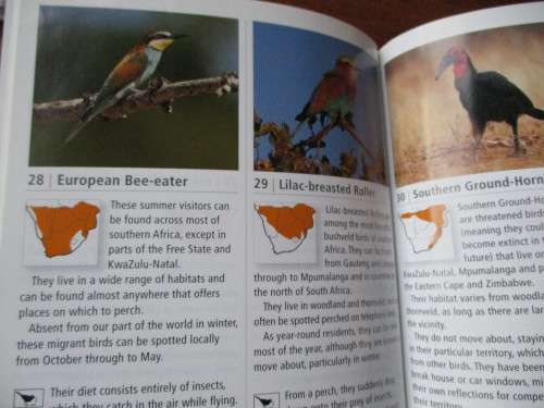 BIRD CALLS FOR BEGINNERS Doug Newman