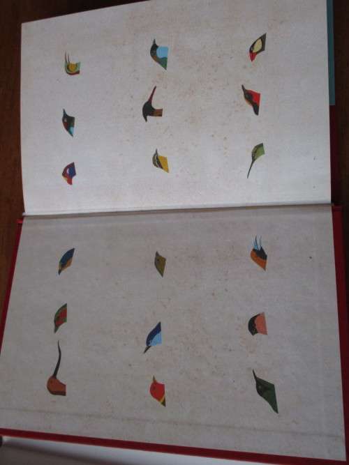 FEATHERINGS TRUE STORIES ON SEARCH OF BIRDS Edited by Vernon RL Head