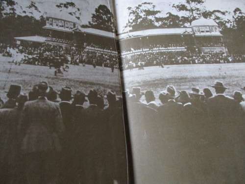 THE NATAL RUGBY STORY  Alfred Herbert