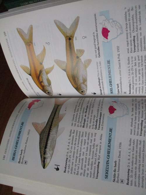 VARSWATERVISSE van Suider-Afrika