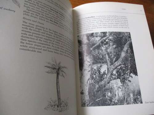 THE MAGALIESBERG - Vincent Carruthers