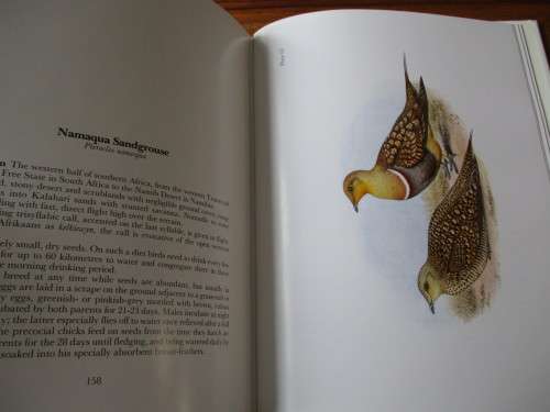 GAMEBIRDS & WATERFOWL OF SOUTHERN AFRICA  C.G. Finch-Davies