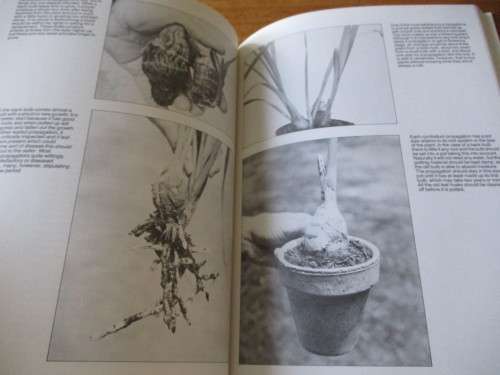 GROWING ORCHIDS  Cymbidiums and Slippers  J.N. Rentoul
