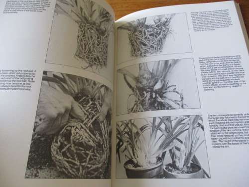 GROWING ORCHIDS  Cymbidiums and Slippers  J.N. Rentoul