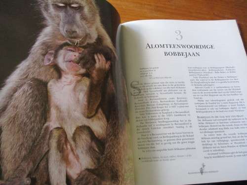 Bogom Attie Gerber