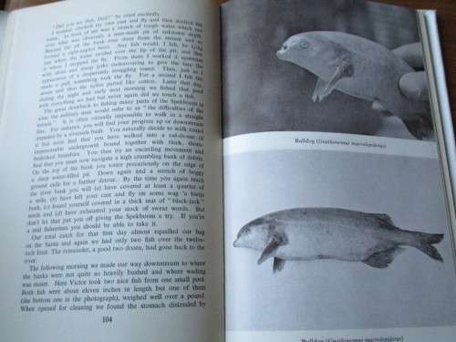 AFRICAN ANGLER'S ARGOSY  J.H. YATES