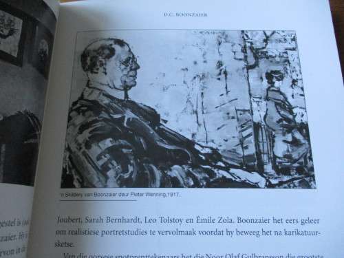 DIE GROOT DRIE 'n Eeu van spotprente in Die Burger 1915-2015  Francois Verster