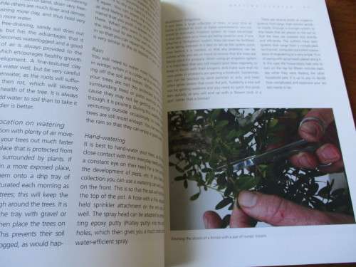 BONSAI success in Southern Africa